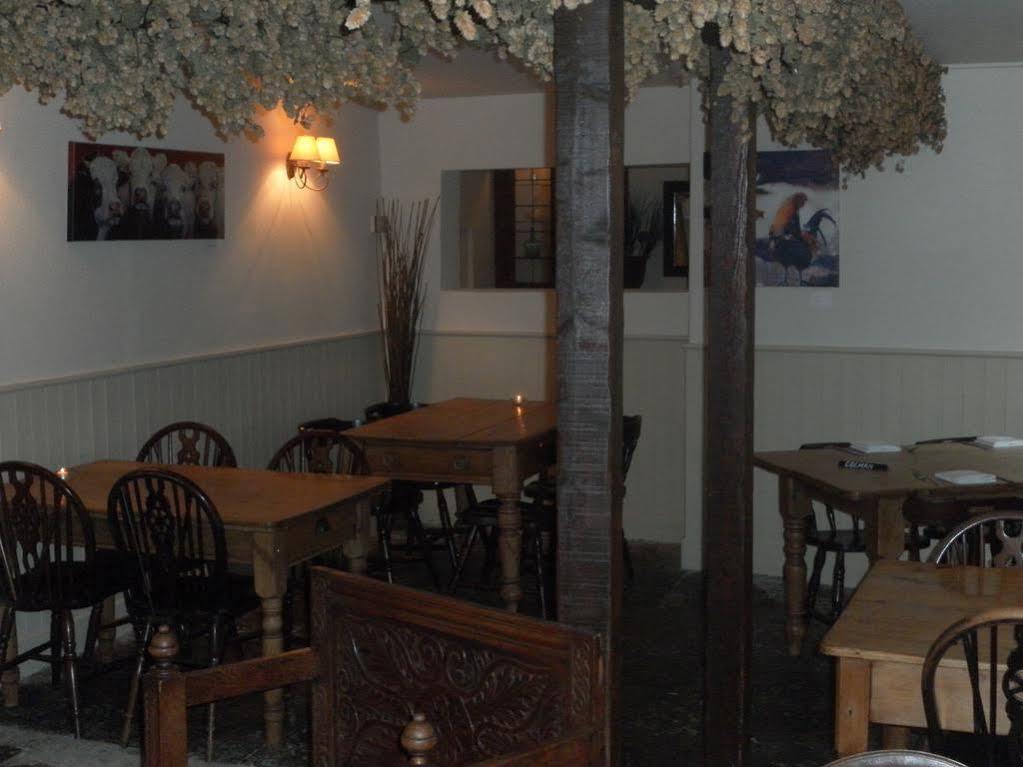The Chetnole Inn Exteriér fotografie